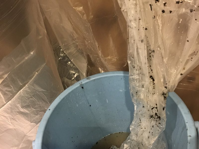 高圧洗浄で流れ出た汚水